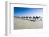 Tourists Riding on Camels on Cable Beach, Broome, Western Australia, Australia, Pacific-Michael Runkel-Framed Photographic Print