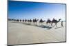 Tourists Riding on Camels on Cable Beach, Broome, Western Australia, Australia, Pacific-Michael Runkel-Mounted Photographic Print