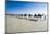 Tourists Riding on Camels on Cable Beach, Broome, Western Australia, Australia, Pacific-Michael Runkel-Mounted Photographic Print