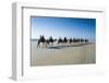 Tourists Riding on Camels on Cable Beach, Broome, Western Australia, Australia, Pacific-Michael Runkel-Framed Photographic Print