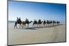 Tourists Riding on Camels on Cable Beach, Broome, Western Australia, Australia, Pacific-Michael Runkel-Mounted Photographic Print