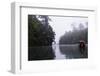 Tourists Sightseeing, Ratchaprapa Reservoir, Khao Sok National Park, Surat Thani Province, Thailand-Christian Kober-Framed Photographic Print