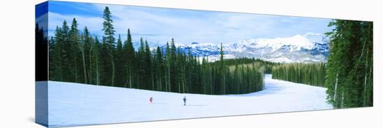 Tourists Skiing on a Snow Covered Landscape, Telluride, San Miguel County, Colorado, USA-null-Stretched Canvas