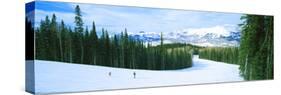 Tourists Skiing on a Snow Covered Landscape, Telluride, San Miguel County, Colorado, USA-null-Stretched Canvas