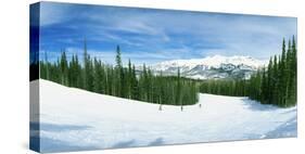 Tourists Skiing on a Snow Covered Landscape, Telluride, San Miguel County, Colorado, USA-null-Stretched Canvas
