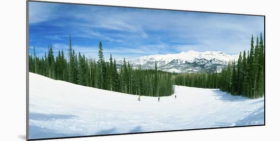 Tourists Skiing on a Snow Covered Landscape, Telluride, San Miguel County, Colorado, USA-null-Mounted Photographic Print