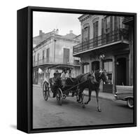 Tourists Take in the Scenery Via Horse-Drawn Carriage on Royal Street in New Orleans-null-Framed Stretched Canvas