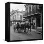 Tourists Take in the Scenery Via Horse-Drawn Carriage on Royal Street in New Orleans-null-Framed Stretched Canvas