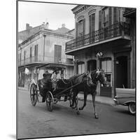 Tourists Take in the Scenery Via Horse-Drawn Carriage on Royal Street in New Orleans-null-Mounted Photographic Print