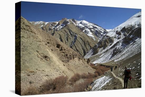 Tourists Trek in Winter, Hemis National Park, Ladakh, India, Asia-Peter Barritt-Stretched Canvas