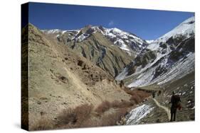 Tourists Trek in Winter, Hemis National Park, Ladakh, India, Asia-Peter Barritt-Stretched Canvas