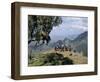 Tourists Trekking, Simien Mountains National Park, Unesco World Heritage Site, Ethiopia, Africa-David Poole-Framed Photographic Print