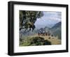 Tourists Trekking, Simien Mountains National Park, Unesco World Heritage Site, Ethiopia, Africa-David Poole-Framed Photographic Print