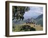 Tourists Trekking, Simien Mountains National Park, Unesco World Heritage Site, Ethiopia, Africa-David Poole-Framed Photographic Print