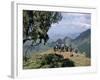 Tourists Trekking, Simien Mountains National Park, Unesco World Heritage Site, Ethiopia, Africa-David Poole-Framed Photographic Print