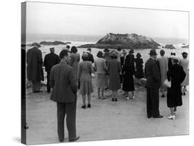 Tourists Visiting Coastal Areas Where Seals Congregate on Monterey Peninsula-Peter Stackpole-Stretched Canvas