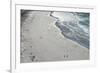 Tourists walking between a huge numbers of Long-tailed gentoo penguins (Pygoscelis papua), Saunders-Michael Runkel-Framed Photographic Print