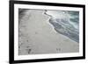 Tourists walking between a huge numbers of Long-tailed gentoo penguins (Pygoscelis papua), Saunders-Michael Runkel-Framed Photographic Print