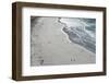 Tourists walking between a huge numbers of Long-tailed gentoo penguins (Pygoscelis papua), Saunders-Michael Runkel-Framed Photographic Print