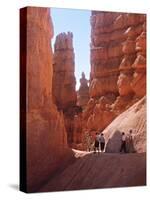 Tourists Walking in Bryce Canyon National Park, Utah, USA-Charles Sleicher-Stretched Canvas