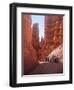 Tourists Walking in Bryce Canyon National Park, Utah, USA-Charles Sleicher-Framed Photographic Print