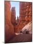 Tourists Walking in Bryce Canyon National Park, Utah, USA-Charles Sleicher-Mounted Photographic Print