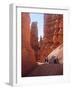 Tourists Walking in Bryce Canyon National Park, Utah, USA-Charles Sleicher-Framed Photographic Print