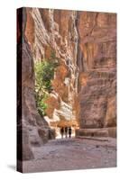 Tourists Walking Through the Siq, Petra, Jordan, Middle East-Richard Maschmeyer-Stretched Canvas