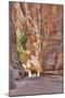 Tourists Walking Through the Siq, Petra, Jordan, Middle East-Richard Maschmeyer-Mounted Photographic Print