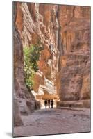 Tourists Walking Through the Siq, Petra, Jordan, Middle East-Richard Maschmeyer-Mounted Photographic Print