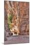Tourists Walking Through the Siq, Petra, Jordan, Middle East-Richard Maschmeyer-Mounted Photographic Print