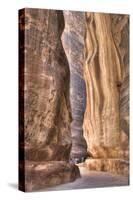 Tourists Walking Through the Siq, Petra, Jordan, Middle East-Richard Maschmeyer-Stretched Canvas