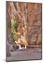 Tourists Walking Through the Siq, Petra, Jordan, Middle East-Richard Maschmeyer-Mounted Photographic Print