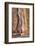 Tourists Walking Through the Siq, Petra, Jordan, Middle East-Richard Maschmeyer-Framed Photographic Print