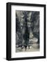 Tourists walking through the Siq, Petra, Wadi Musa, Jordan-null-Framed Photographic Print