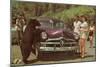 Tourists Watching Black Bear-null-Mounted Art Print