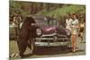 Tourists Watching Black Bear-null-Mounted Art Print