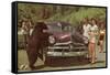 Tourists Watching Black Bear-null-Framed Stretched Canvas