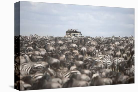 Tourists Watching Large Herd of Wildebeest and Zebras at the Serengeti National Park, Tanzania, Afr-Life on White-Stretched Canvas