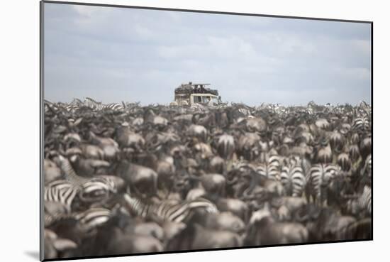 Tourists Watching Large Herd of Wildebeest and Zebras at the Serengeti National Park, Tanzania, Afr-Life on White-Mounted Photographic Print