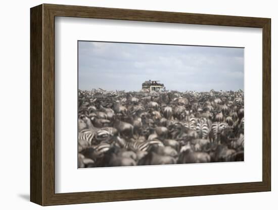 Tourists Watching Large Herd of Wildebeest and Zebras at the Serengeti National Park, Tanzania, Afr-Life on White-Framed Photographic Print