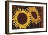 Tournesol I-null-Framed Giclee Print