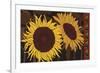 Tournesol I-null-Framed Giclee Print