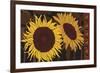 Tournesol I-null-Framed Giclee Print