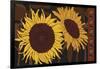 Tournesol I-null-Framed Giclee Print