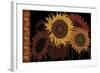 Tournesol II-null-Framed Giclee Print