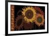 Tournesol II-null-Framed Giclee Print