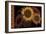 Tournesol II-null-Framed Giclee Print