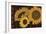 Tournesol III-null-Framed Giclee Print