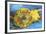 Tournesol-Vincent van Gogh-Framed Art Print